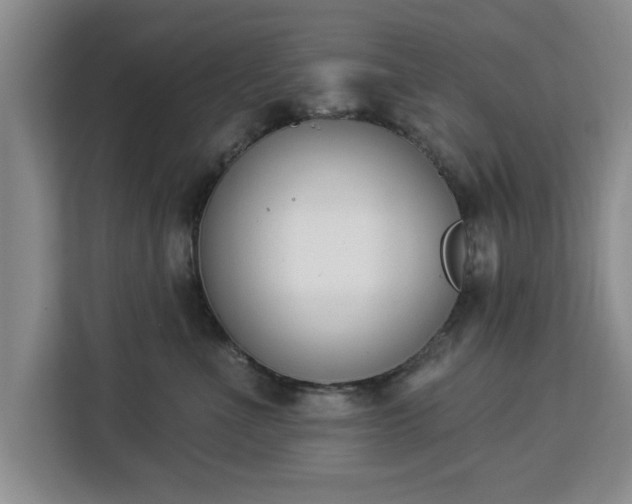 X0000112840523200908281554