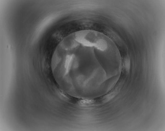 X0000112840526200908281554