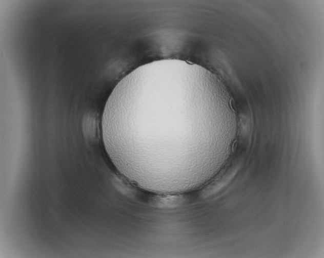 X0000112840527200908281554