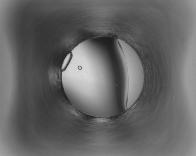 X0000112840528200908281554