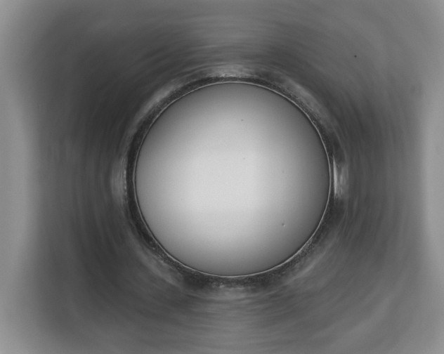 X0000112840531200908281553