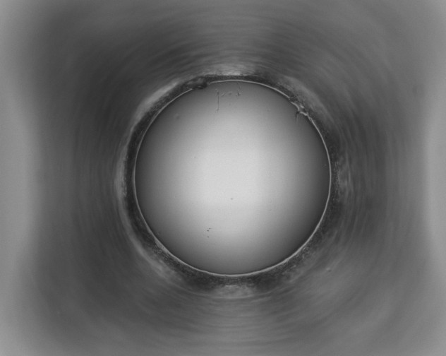 X0000112840536200908281553