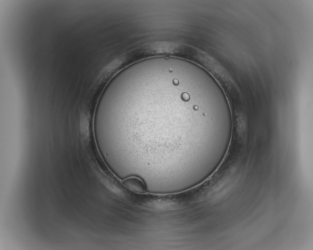 X0000112840537200908281553