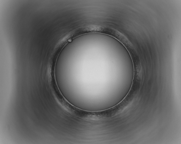 X0000112840538200908281554