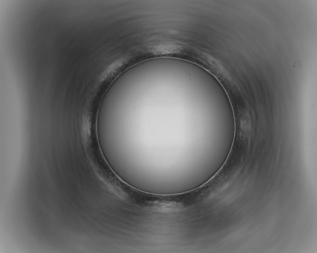 X0000112840539200908281554