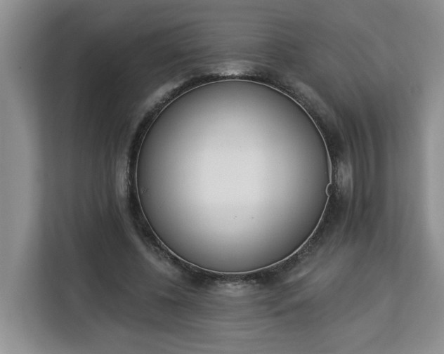 X0000112840540200908281554