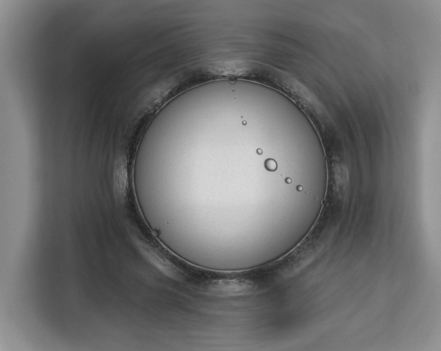 X0000112840541200908281554