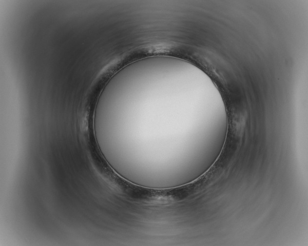 X0000112840543200908281554