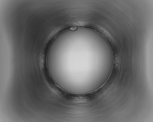 X0000112840544200908281554