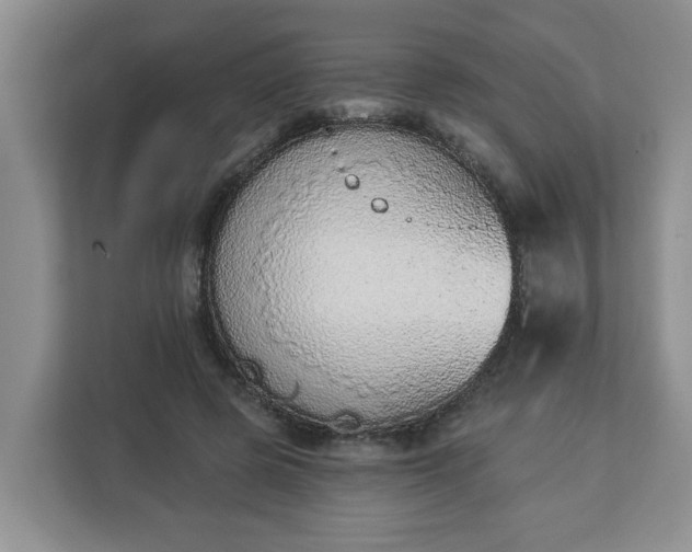 X0000112840545200908281554