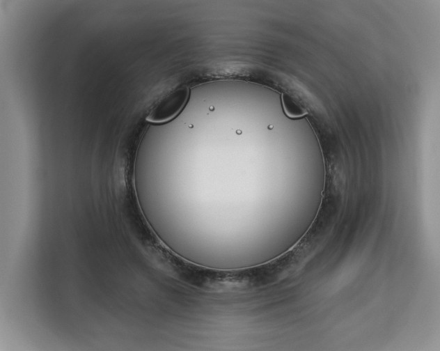 X0000112840546200908281554