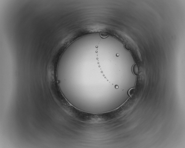 X0000112840547200908281554