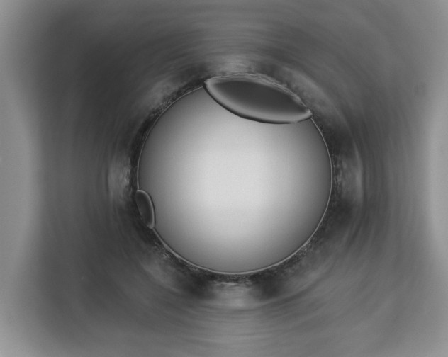 X0000112840548200908281554