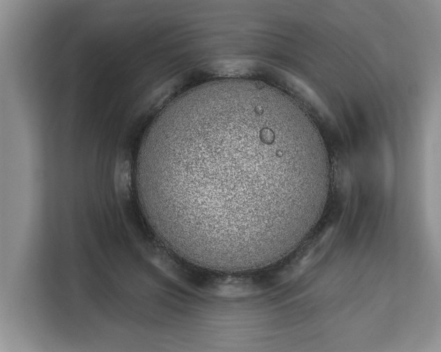 X0000112840549200908281554