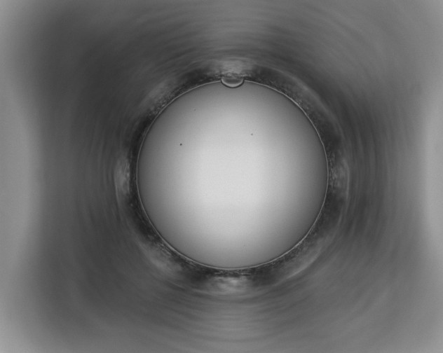 X0000112840552200908281554