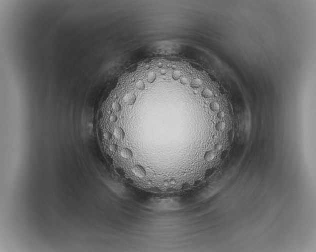 X0000112840553200908281554