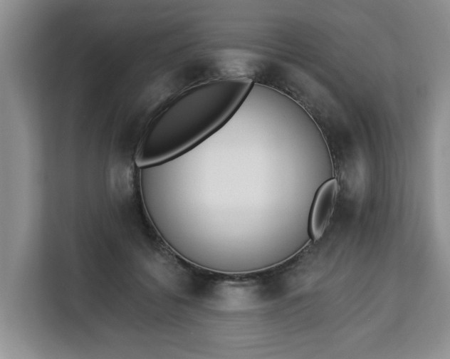 X0000112840556200908281554