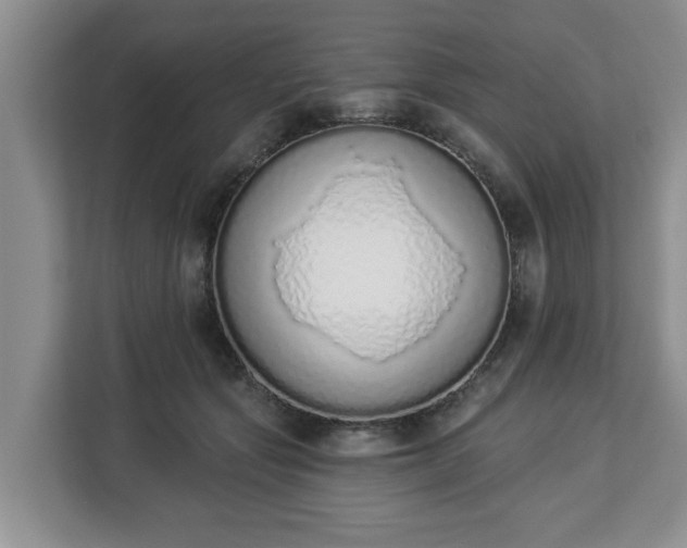 X0000112840557200908281554