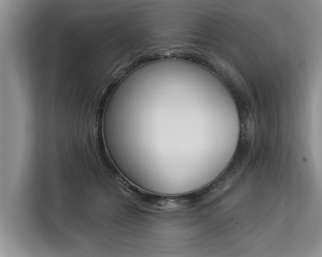 X0000112840558200908281554