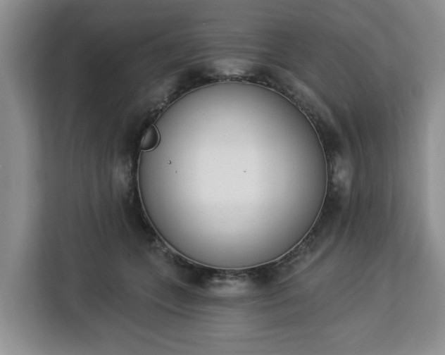 X0000112840559200908281554