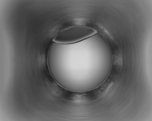 X0000112840560200908281554