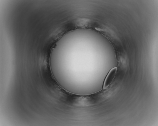 X0000112840566200908281554