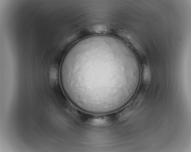 X0000112840569200908281554