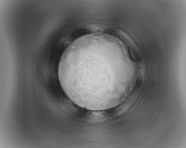 X0000112840573200908281554