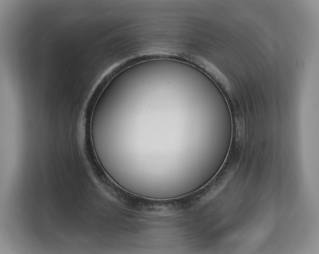 X0000112840580200908281553