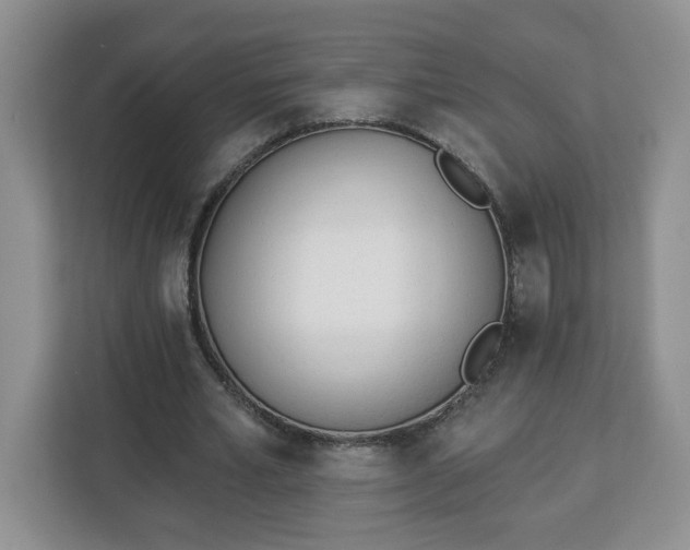 X0000112840581200908281553