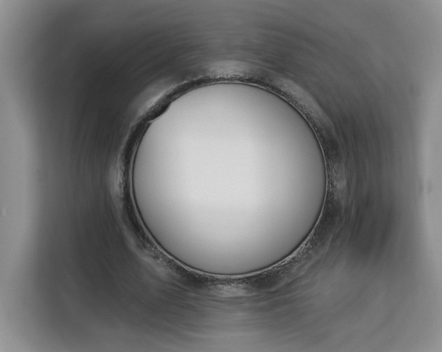 X0000112840583200908281553