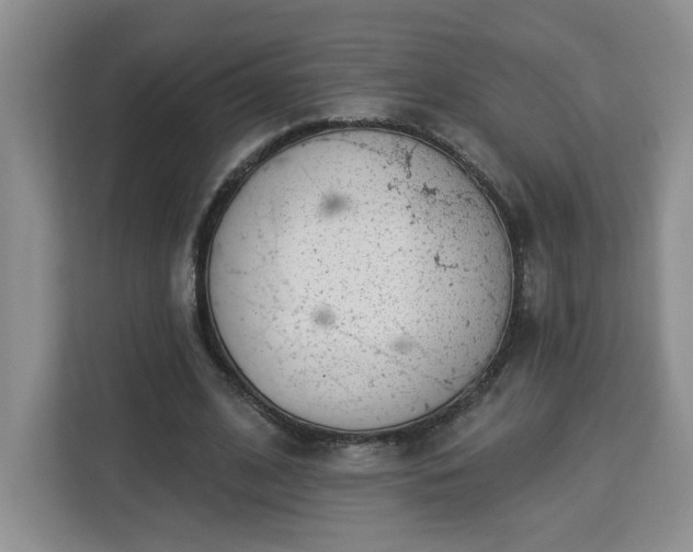 X0000112840584200908281553