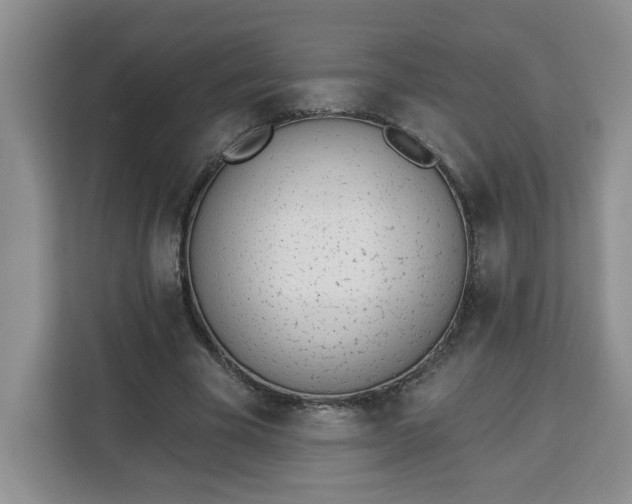 X0000112840585200908281553