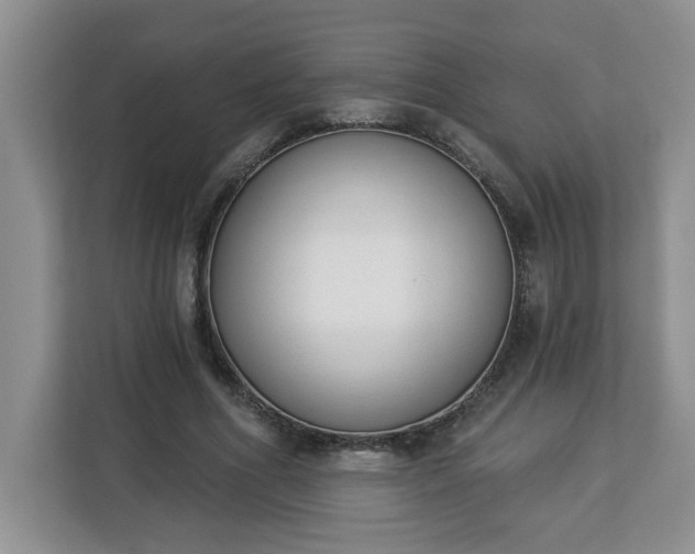 X0000112840586200908281553