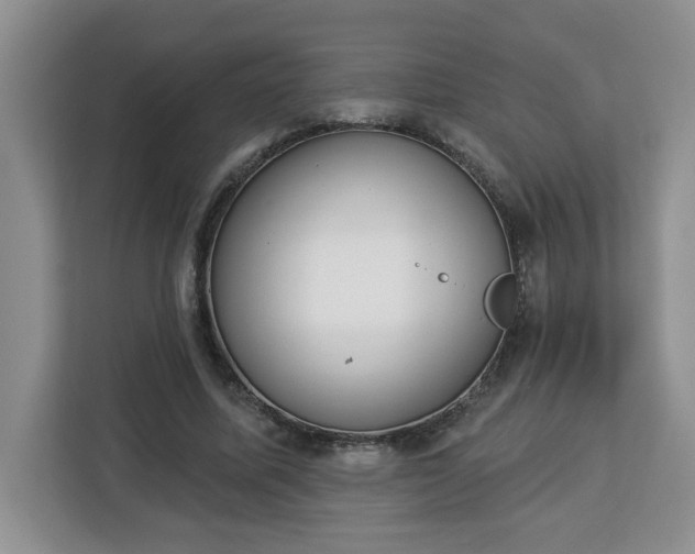 X0000112840587200908281553