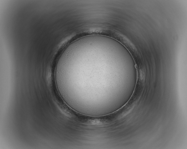 X0000112840588200908281553