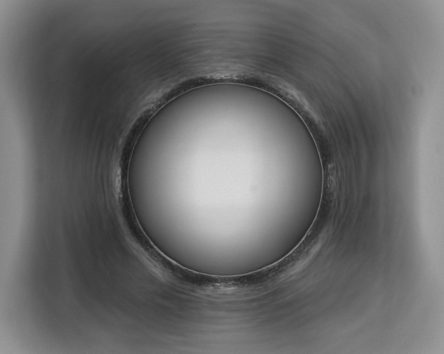 X0000112840589200908281553