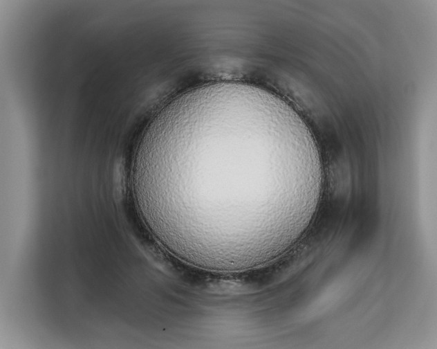 X0000112840594200908281553