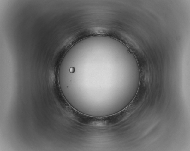 X0000112840595200908281553