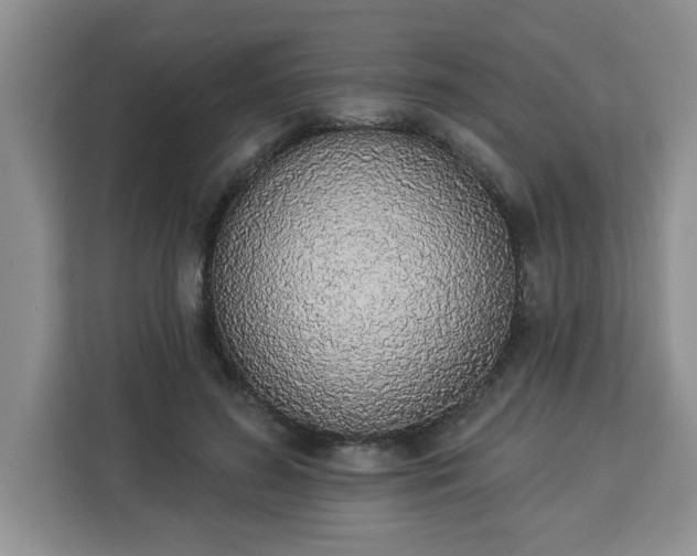 X0000112840596200908281553