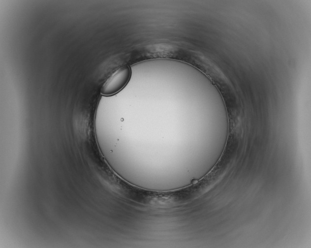 X0000112840599200908281553