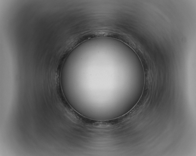 X0000112840601200908281553