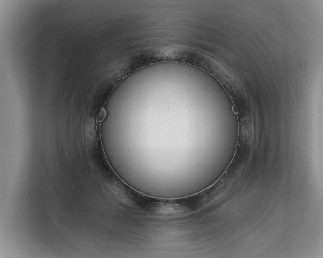 X0000112840605200908281553