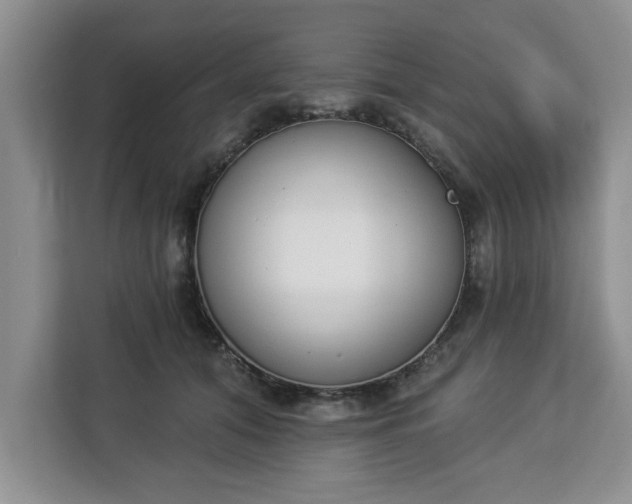 X0000112840608200908281553