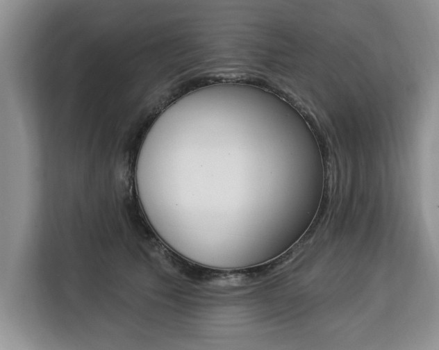 X0000112840609200908281553