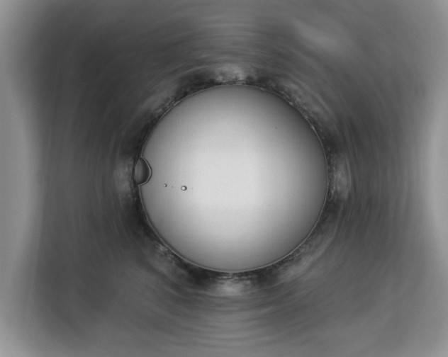 X0000112840616200908281553