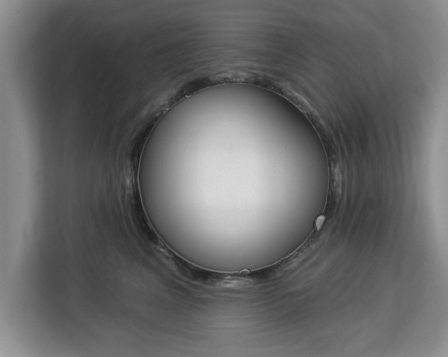 X0000112840617200908281553