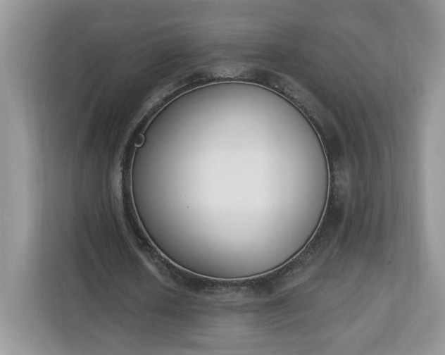 X0000112840626200908281552