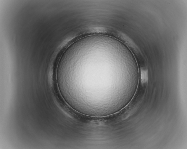 X0000112840627200908281552