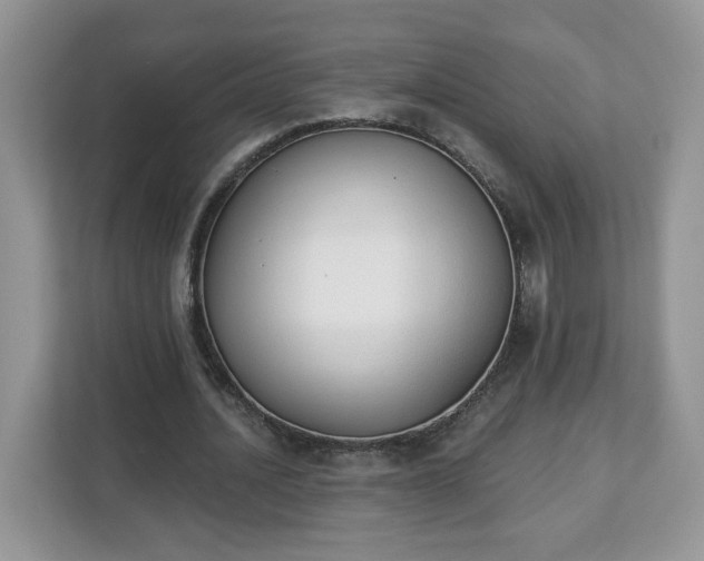 X0000112840628200908281552